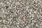 Texture background of light gravel and stones