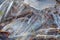 Texture background Macro photography. Close-up. Ice. Frozen water. brittle crystalline transparent solid. Abstract. Frosty patter