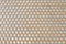 Texture Background of Matalic Brown Perforated Grid