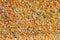 Texture and Background of orange pebbles