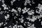 Texture background pattern. Fabric cotton black in white tones.