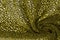 texture, background, pattern. lace fabric. mustard yellow gold c