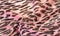 Texture, background, pattern, silk fabric, european foot, fashion, leopard print, animal, irreplaceable texture for your projects