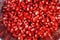 Texture background pomegranate grains