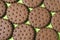 Texture background of rows of chocolate-cream cookies