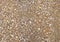 Texture background seamless gravel . Stone Floor.