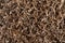 Texture background of shredded brown paper