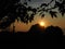 Texture background of the sunset , landscape and view of maple tree and leafs