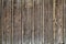 Texture, background of a wooden wall. Massif of a tree. Fence element.