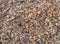 Texture or background of yellow pile of wooden mulch or wood waste