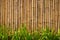 Texture of bamboo fence. The bottom green plants