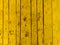 Texture of bark wood use as natural background. Distressed Wood Texture Background. Yellow Grunge Wood Floor