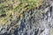 The texture of the basalt cave in Iceland closeup