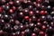 Texture of berries chokeberry