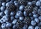 Texture berries close up. Top view. Black and blue berries. Ripe blueberries and blackberries.