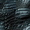 texture of black crocodile leather with seamless pattern. Genuine animal skin background