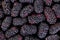 Texture of a blackberry close-up