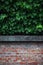 texture of brick wall and leaves. the contrast of nature and human activity