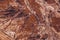 Texture of brown marble, colorful stone background. Grunge rock wall. Abstract natural modern pattern for design. Granite slab sur