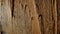 Texture of brown old wooden board with scratches and cuts. Damaged aged rough timber in dark indoors. Structure of