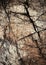 Texture of brownish stones with cracks