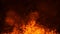 Texture of burn fire. Flames on isolated black background. Texture for banner,flyer,card