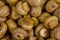 Texture of the canned mushrooms for the background