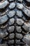 The texture of Centipede pattern mud terrain tire