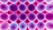 Texture with circular patterns in shades of purple and fuchsia, egg maple