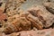 texture of  Cliffs at Hive Beach, Burton Bradstock, Bridport, Dorset, England, United Kingdom