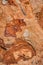 texture of  Cliffs at Hive Beach, Burton Bradstock, Bridport, Dorset, England, United Kingdom