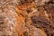 texture of  Cliffs at Hive Beach, Burton Bradstock, Bridport, Dorset, England, United Kingdom