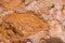 texture of  Cliffs at Hive Beach, Burton Bradstock, Bridport, Dorset, England, United Kingdom