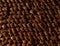Texture of closeup pinecone