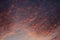 Texture of clouds on sunset, in orange, pink and purple colors. Cirrus clouds texture backlit by the sun.