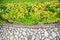 Texture of cobblestones and green bushes and grass