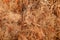 Texture Coconut fiber abstract background