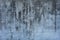 Texture Concrete Dirty, seamless Concrete texture background