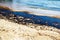 Texture of crude oil spill on sand beach from oil spill accident, Agios Kosmas bay, Athens, Greece, September 14 2017.