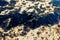 Texture of crude oil spill on sand beach from oil spill accident, Agios Kosmas bay, Athens, Greece, September 14 2017.