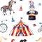 Texture with cute little bunny in a hat,zebra,circus tent,ribbon,bike.
