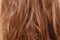 Texture of damaged female hair close-up on gray background. concept loss color and protein