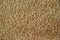 Texture of dark yellow silica sand, background