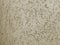 Texture of decorative plaster for walls. The background plaster.