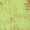 Texture Distressed Green