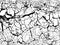 Texture of dried cracked earth vector grunge