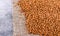 The texture of dry buckwheat. Background image of buckwheat porridge. Maro`s Photo