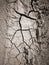 Texture of dry cracked earth. The desert background. The global shortage of water. Deep cracks in brown land as symbol of hot