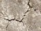 Texture of dry cracked soil due to global warming effect, aridity, drought. Top view. Nature background