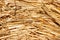 Texture of dry grass, straw,